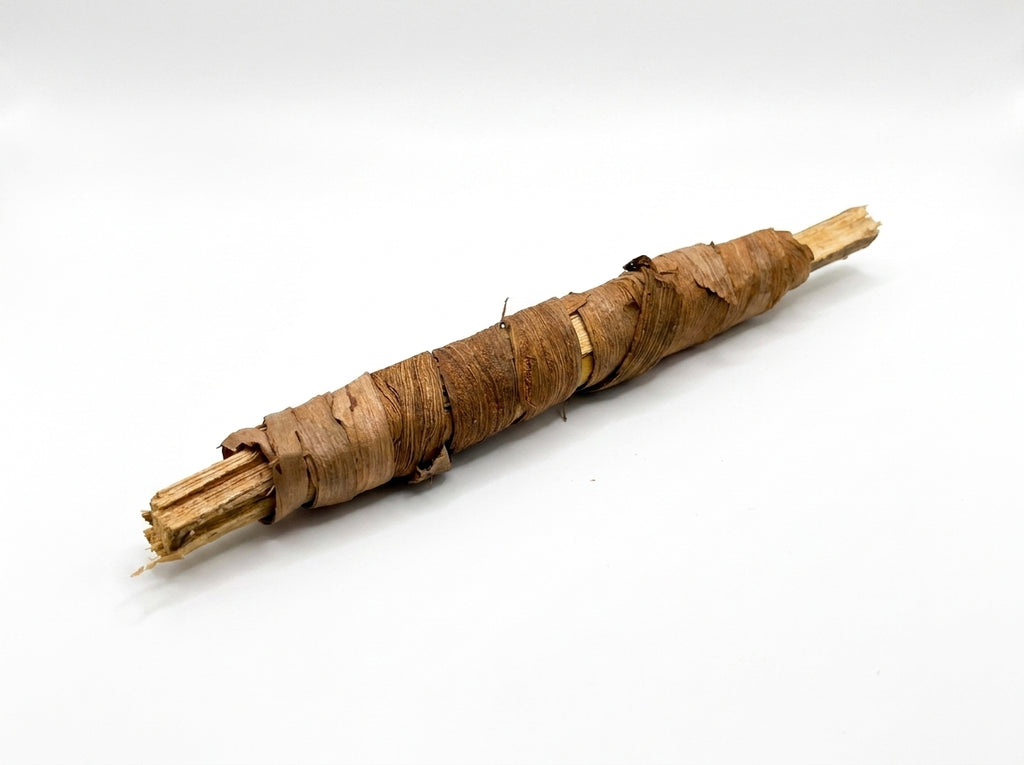 Friction du bâtonnet de Souak marocain sur les dents pour un blanchiment naturel et écologique.