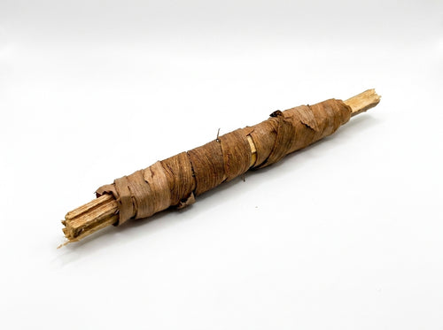 Friction du bâtonnet de Souak marocain sur les dents pour un blanchiment naturel et écologique.