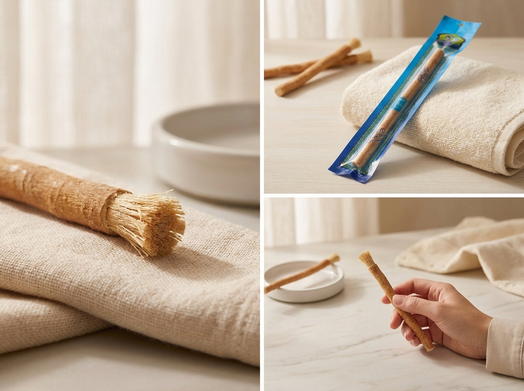 Zoom sur l'extrémité du Siwak taillée en brossette végétale libérant ses fibres minéralisées bienfaisantes.
