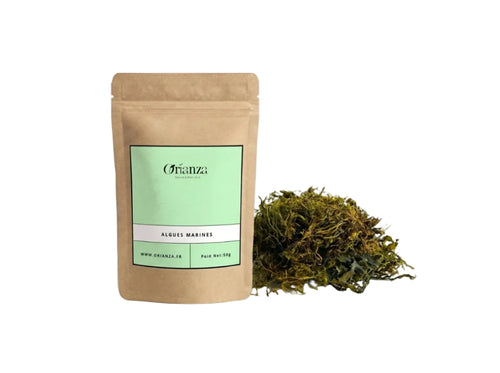 Sachet d'apothicaire en kraft d'Algues Marines Orianza Selection, Zabad El Bahar séché pour programme minceur.