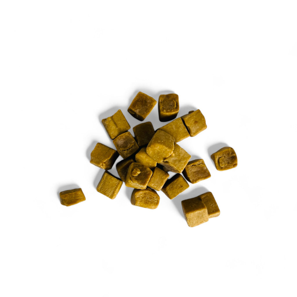 Gros plan herboriste sur les fragments bruts de résine d'asafoetida pure de qualité supérieure d'Orianza.