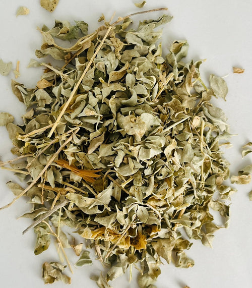 Gros plan herboriste sur la qualité supérieure, les nervures et la couleur naturelle des feuilles séchées d'Atriplex Halimus.