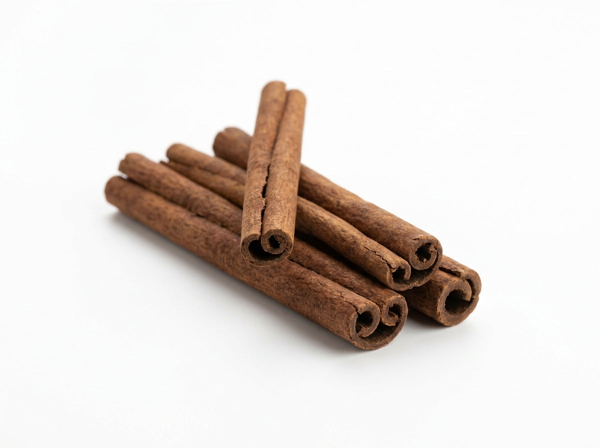 Gros plan herboriste sur les rouleaux fins et multicouches de véritable cannelle de Ceylan sélectionnés par Orianza.