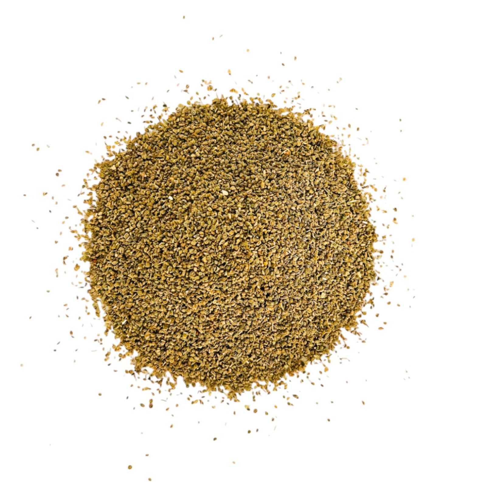 Gros plan herboriste sur la texture des graines de céleri entières et pures de qualité supérieure d'Orianza.