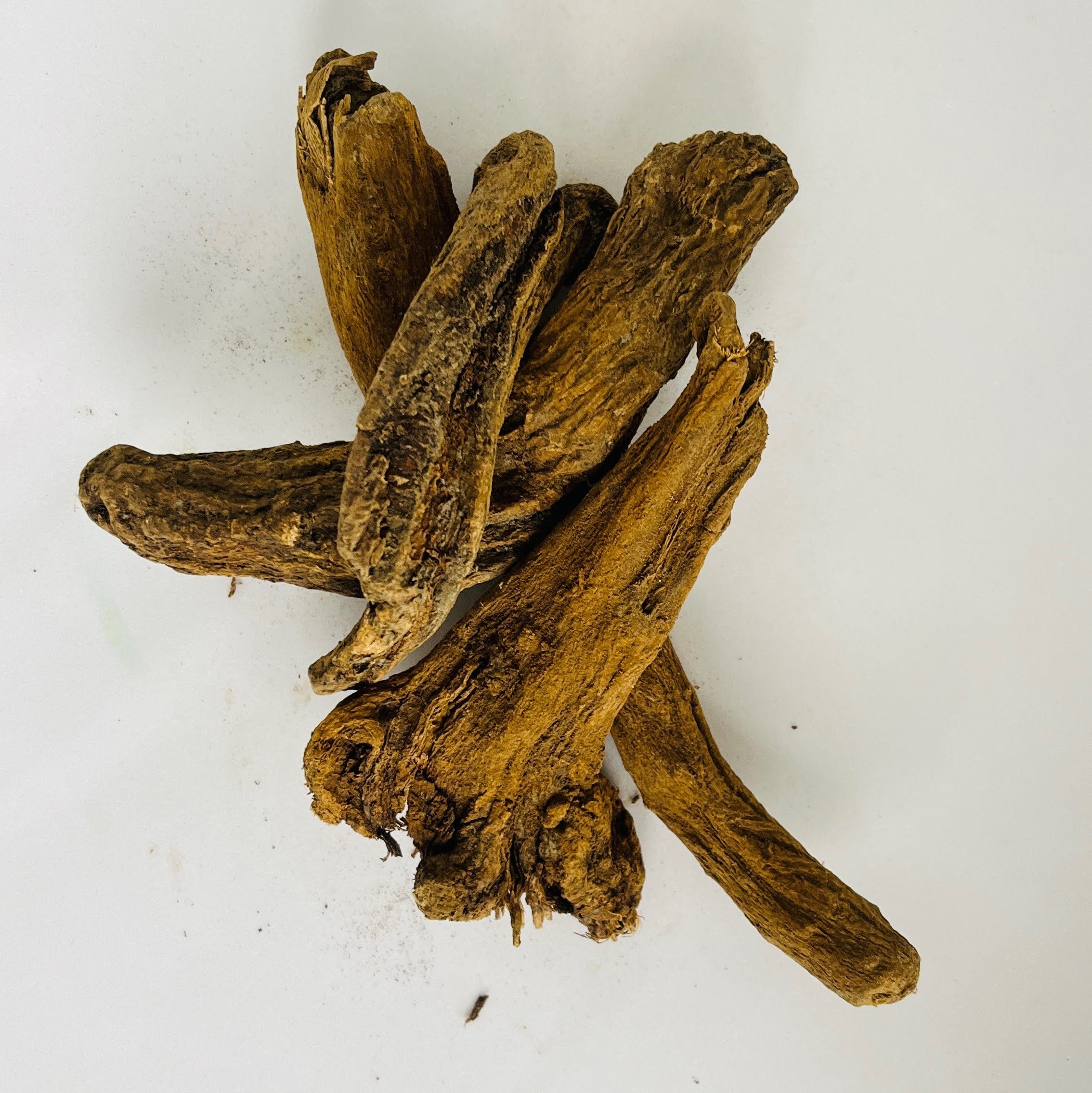 Gros plan macro détaillé sur les fibres et la structure ligneuse authentique de la racine de Costus Indien de qualité supérieure.