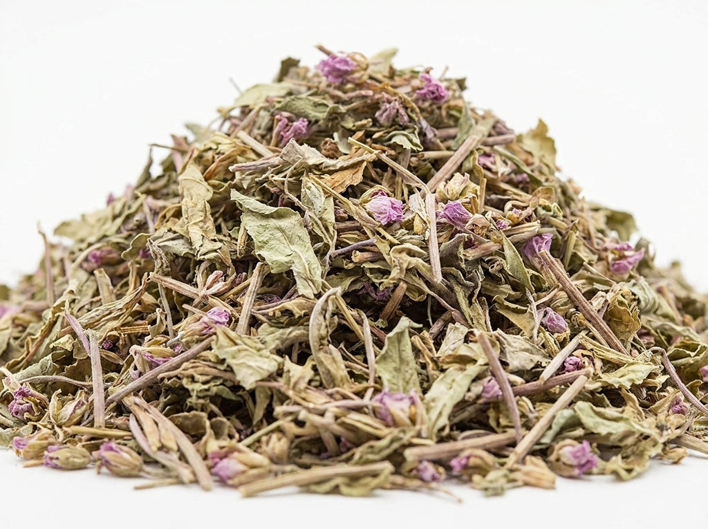 Gros plan sur la coupe fine et propre d'épilobe parviflorum séché, riche en flavonoïdes et tannoïdes actifs.