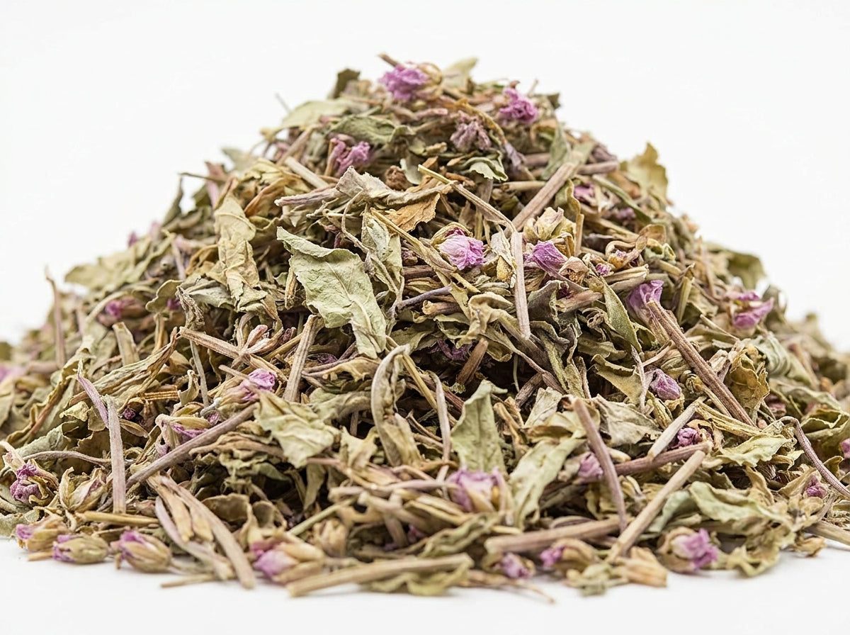 Gros plan sur la coupe fine et propre d'épilobe parviflorum séché, riche en flavonoïdes et tannoïdes actifs.