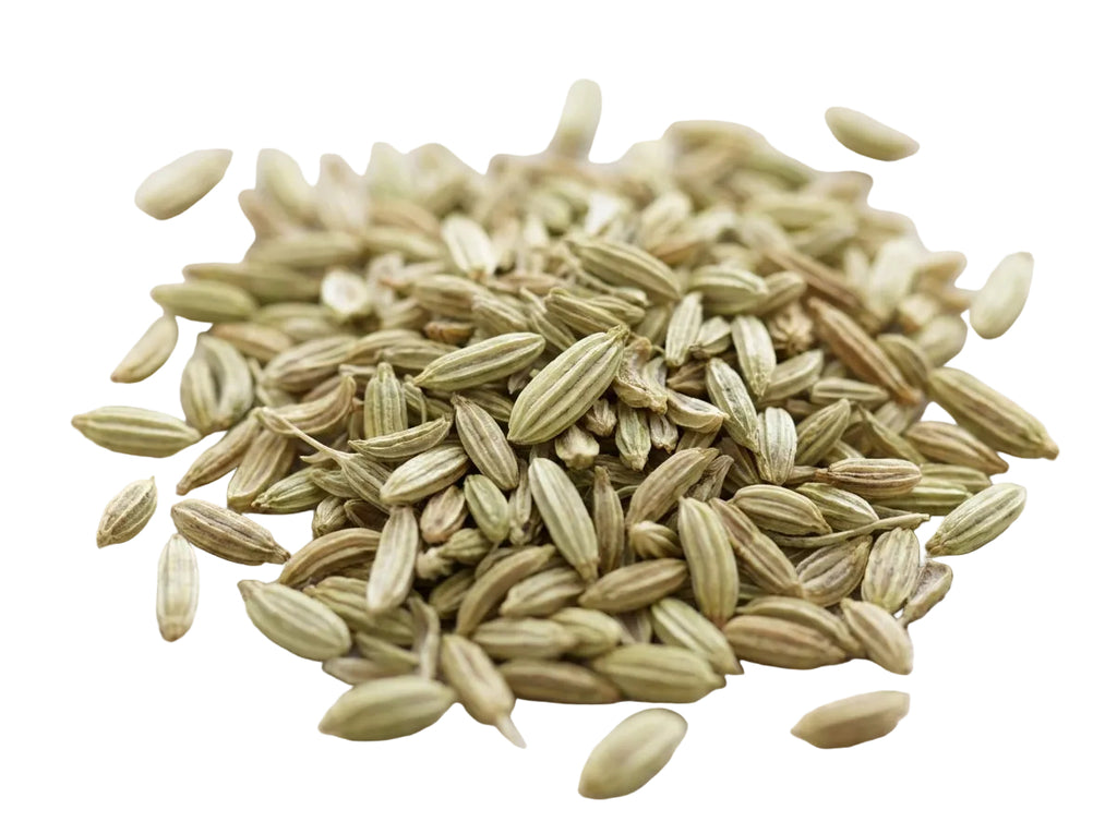 Gros plan macro détaillé sur la forme striée, la couleur verte authentique et la qualité herboristerie des graines de Fenouil d'Orianza.