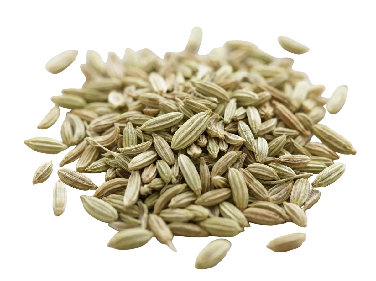 Gros plan macro détaillé sur la forme striée, la couleur verte authentique et la qualité herboristerie des graines de Fenouil d'Orianza.