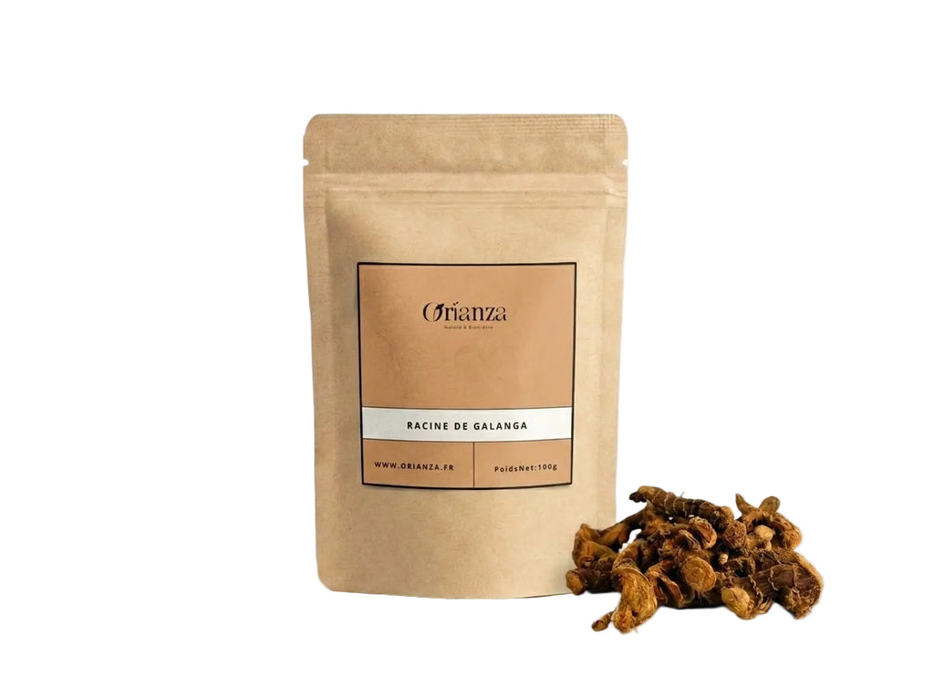 Sachet d'apothicaire en kraft de Racine de Galanga Entière Orianza Selection, Khoulanjen brut pour vitalité.