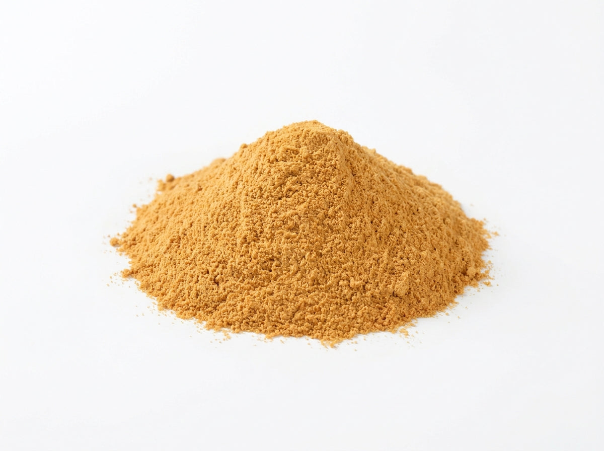 Gros plan herboriste sur la texture fine et la couleur dorée de la poudre de gingembre pur de qualité supérieure.
