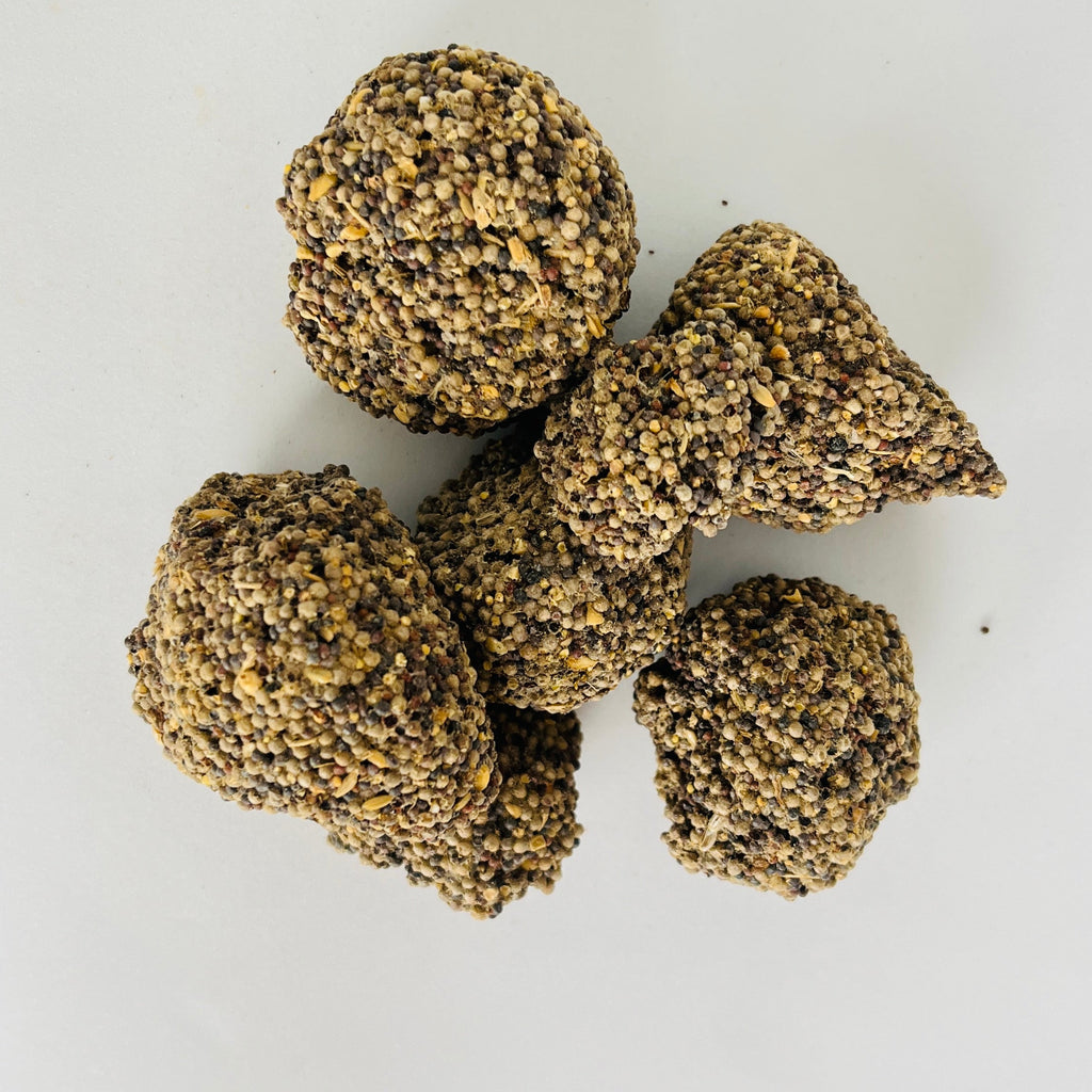 Gros plan macro détaillé sur l'aspect brut, la géométrie naturelle et la qualité supérieure des graines de Hab El Machabek d'Orianza.