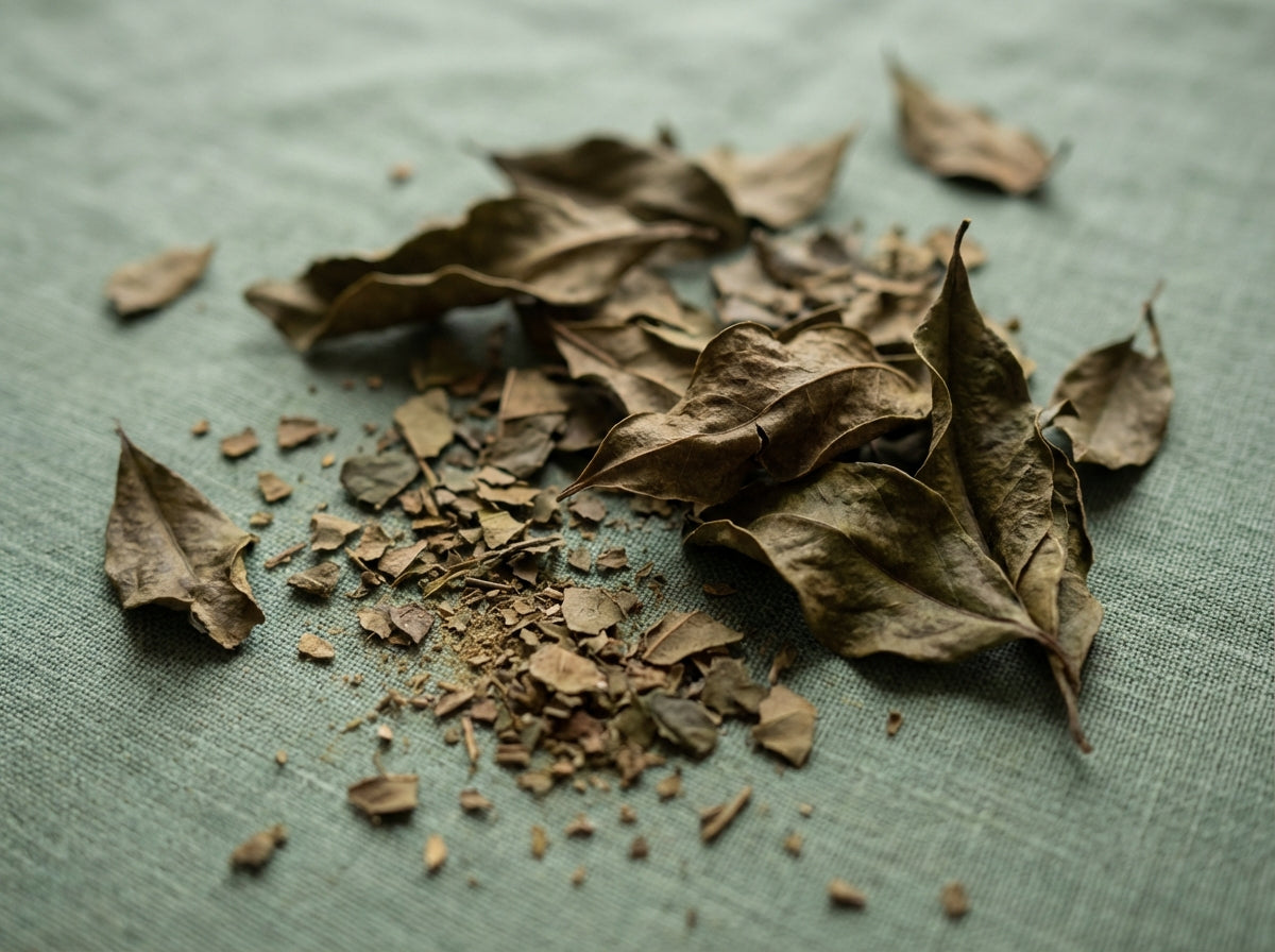 Une ambiance herboriste épurée en image lifestyle, mettant en scène le sachet de Feuilles de Henné Orianza bien visible et valorisé sur une belle table.