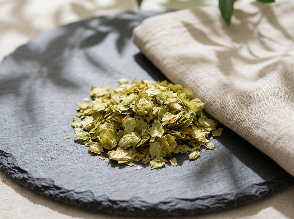 Gros plan herboriste sur la texture des cônes de houblon vert pâle, riches en lupuline dorée active.