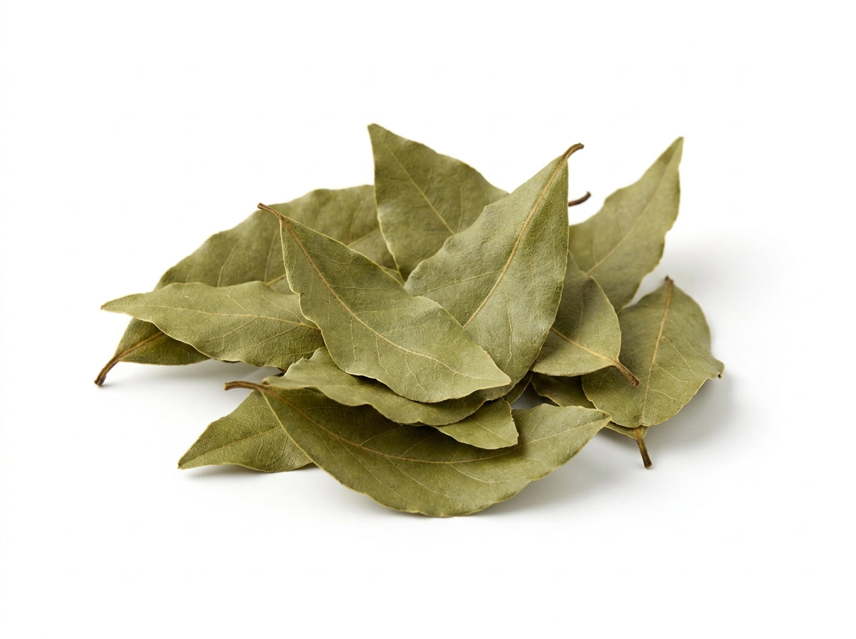 Gros plan herboriste sur la couleur verte intense et la texture des feuilles de laurier séchées Rend de qualité extra.