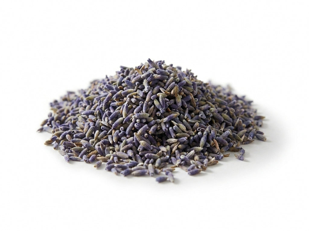 Gros plan macro détaillé sur la couleur bleue intense et la qualité supérieure des fleurs de lavande séchées d'Orianza.