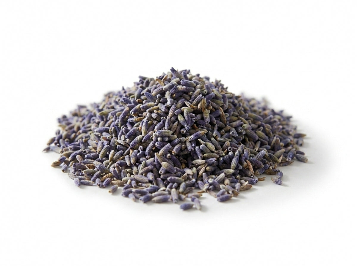 Gros plan macro détaillé sur la couleur bleue intense et la qualité supérieure des fleurs de lavande séchées d'Orianza.