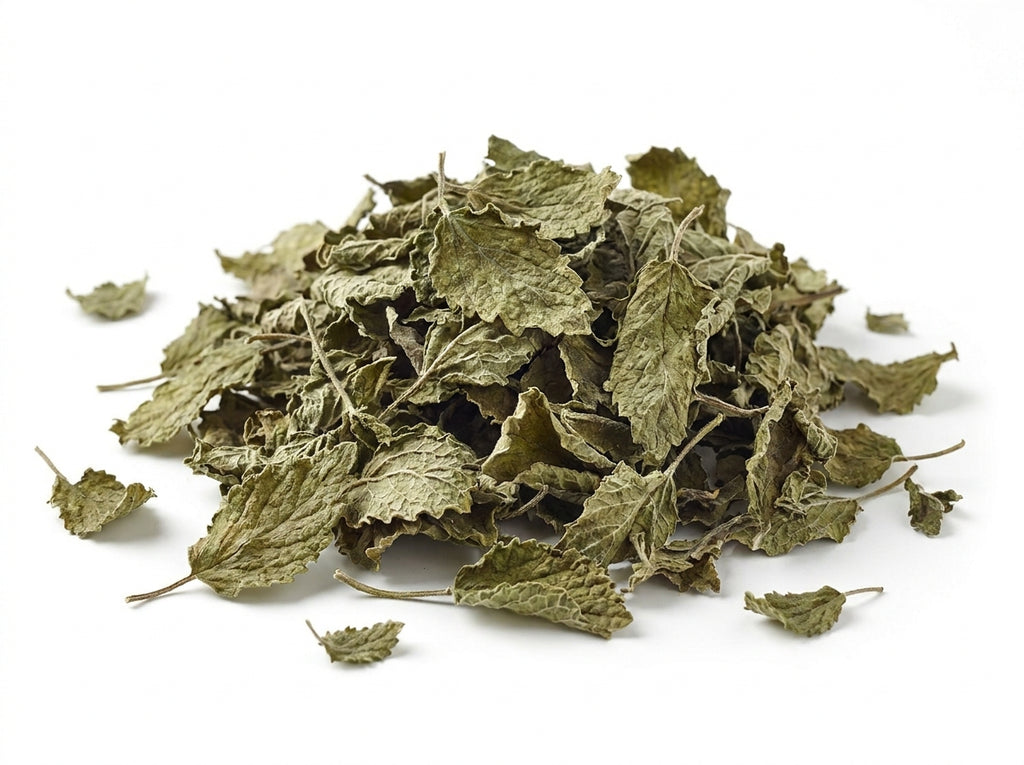 Gros plan herboriste sur les feuilles séchées entières de mélisse officinale de qualité supérieure.