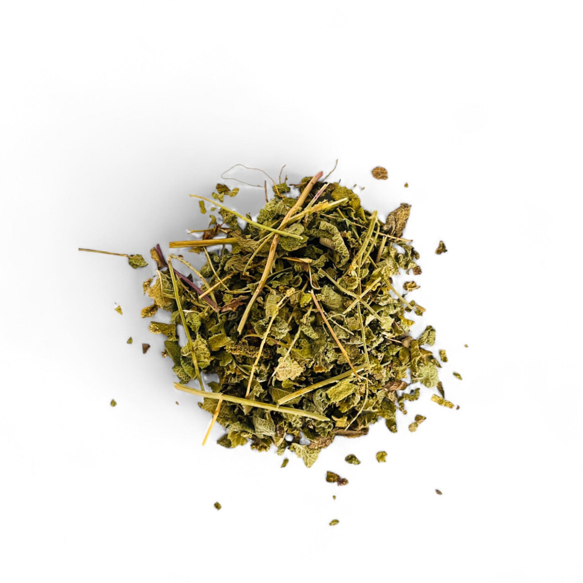 Gros plan herboriste sur les feuilles entières séchées de menthe sauvage Mersita riches en huiles essentielles.