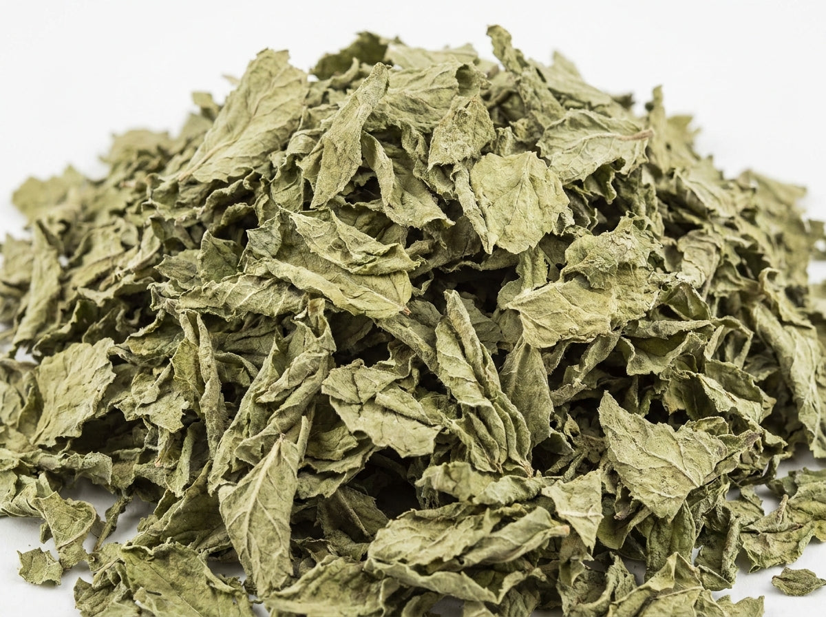 Gros plan sur les feuilles de menthe verte séchées de qualité supérieure, riches en huiles de menthol.