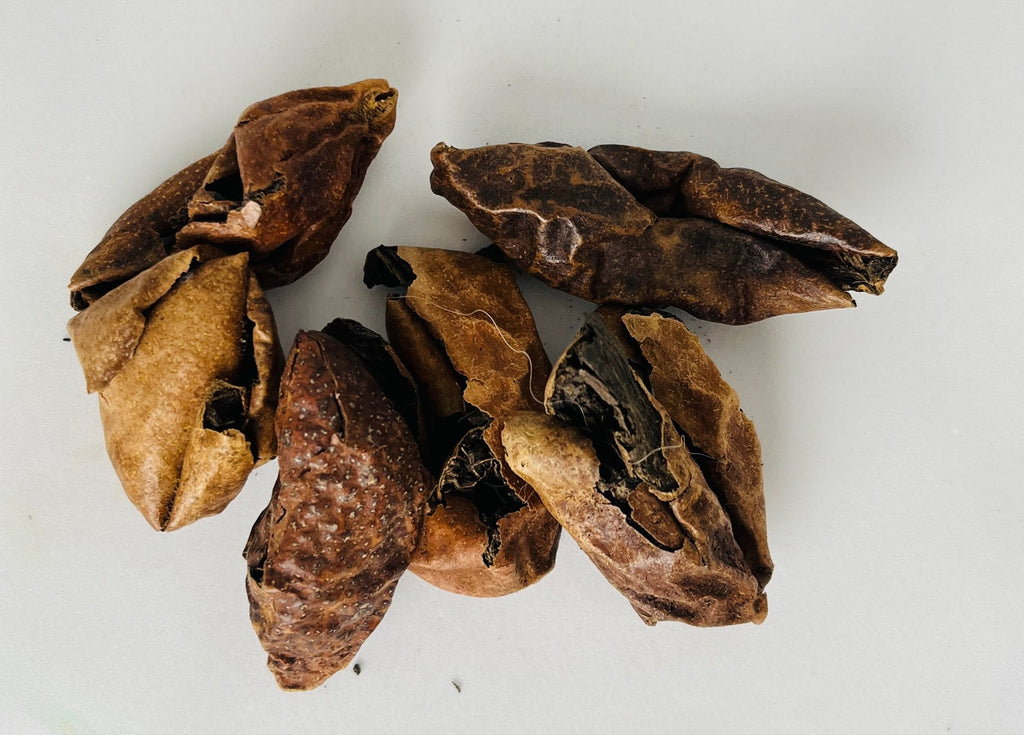 Gros plan macro détaillé sur la finesse de la texture et la couleur terreuse de la poudre de Brou de Noix pure d'Orianza.
