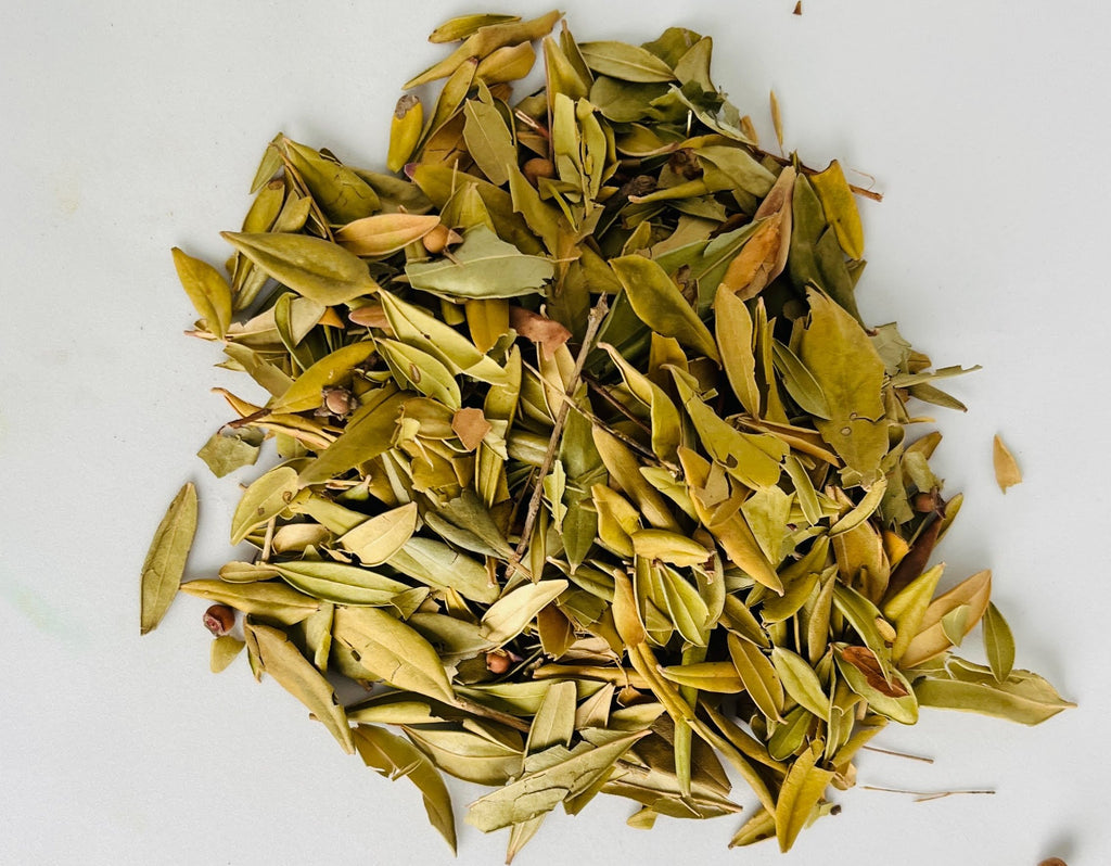 Gros plan macro détaillé sur la forme allongée et la couleur vert-gris authentique des feuilles d'olivier entières séchées.