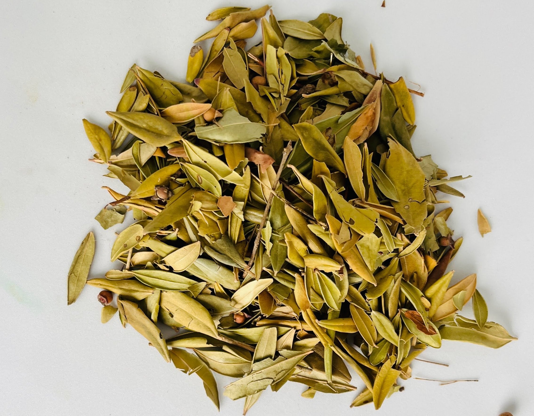 Gros plan macro détaillé sur la forme allongée et la couleur vert-gris authentique des feuilles d'olivier entières séchées.