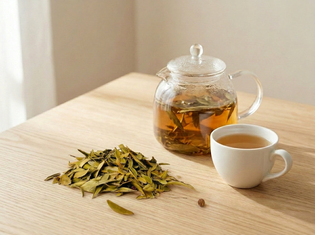 Préparation d'une infusion de feuilles d'olivier Orianza présentée dans un pichet à thé en verre transparent avec sa tasse assortie.