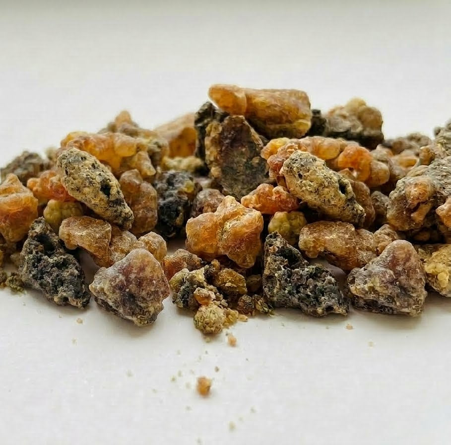 Gros plan macro détaillé sur la texture brute, cireuse et la couleur terreuse des morceaux de résine Oum Ennas d'Orianza.