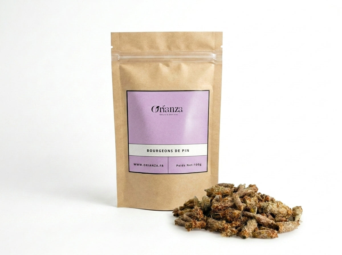 Sachet d'apothicaire en kraft de Bourgeons de Pin Sylvestre Orianza Selection, tisane pure hiver pour le confort respiratoire.