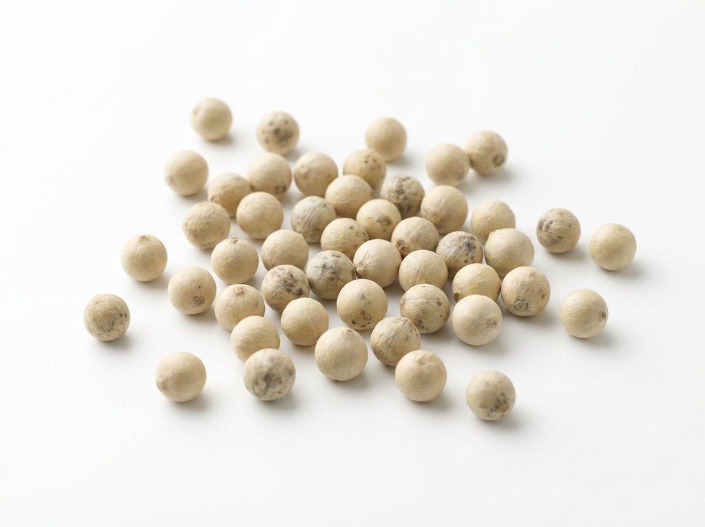 Gros plan herboriste sur des grains de poivre blanc ronds et propres, riches en pipérine active.