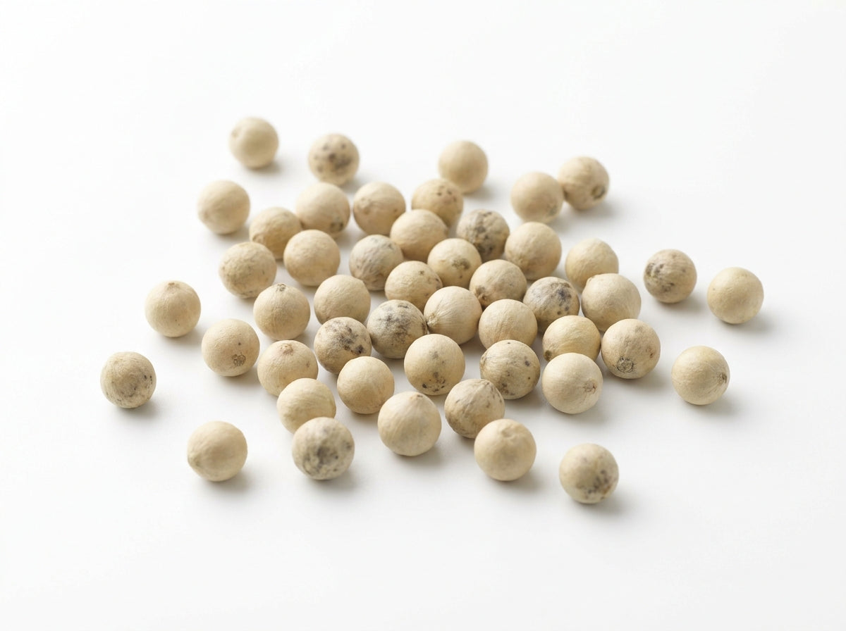 Gros plan herboriste sur des grains de poivre blanc ronds et propres, riches en pipérine active.