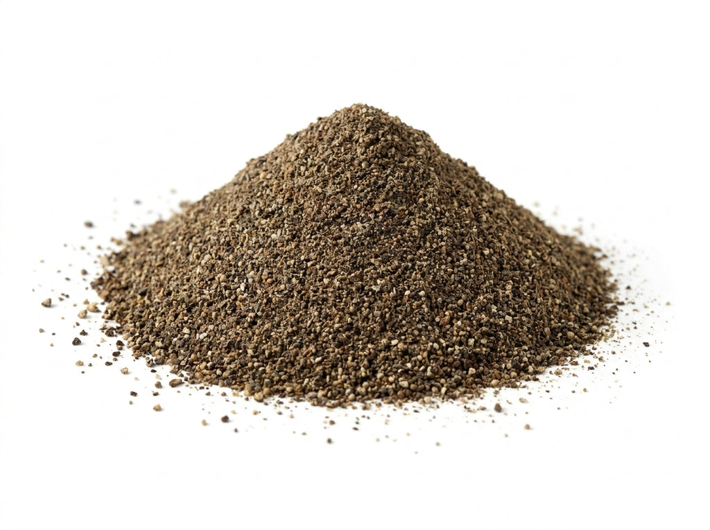 Gros plan herboriste sur la texture fine et homogène de la poudre de poivre noir riche en pipérine active.