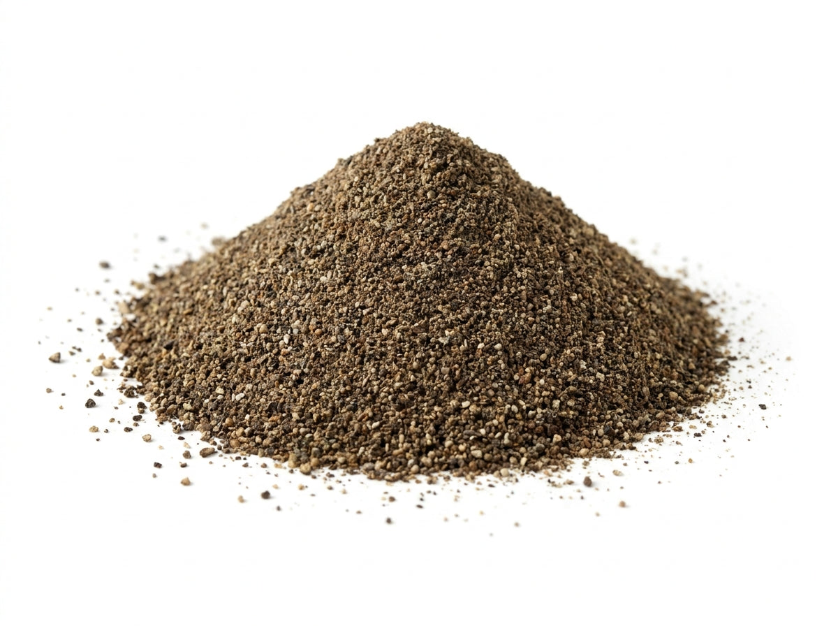 Gros plan herboriste sur la texture fine et homogène de la poudre de poivre noir riche en pipérine active.
