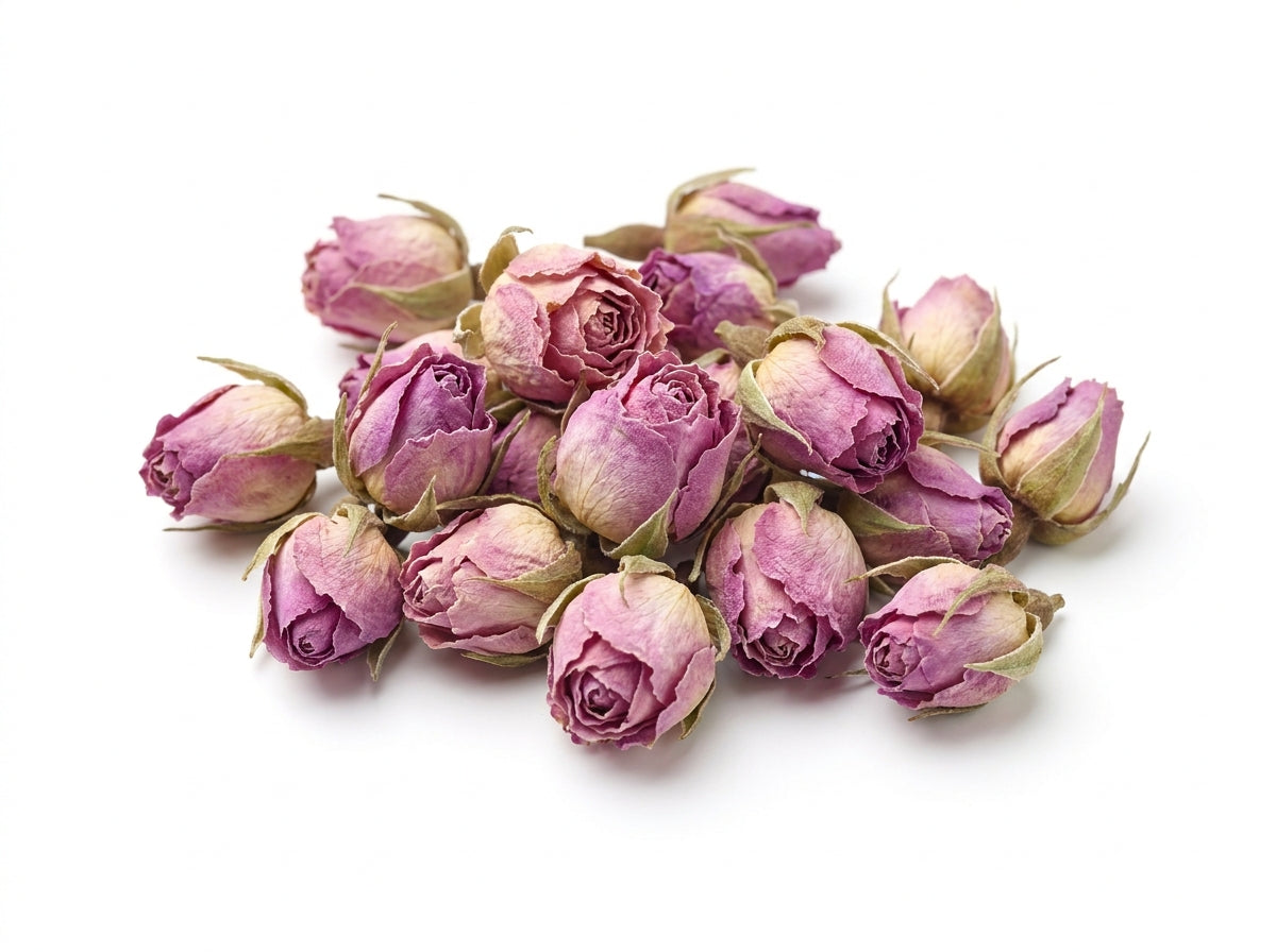 Gros plan herboriste sur la couleur rose vif et la texture délicate des boutons de rose entiers d'Orianza.