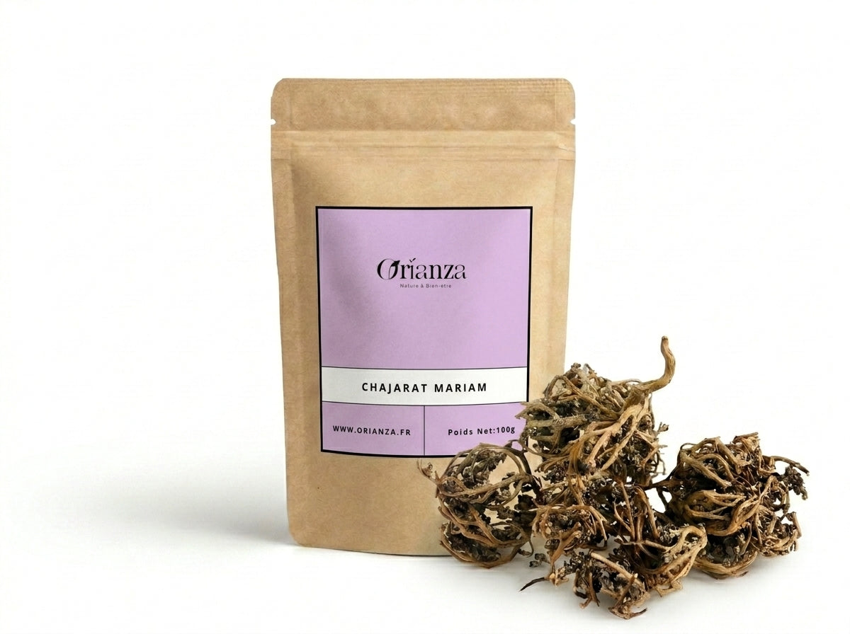 Sachet d'apothicaire en kraft de Rose de Jéricho Orianza Selection, Chajarat Mariam pure pour la fertilité avec la plante fermée à côté.