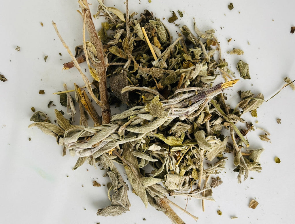 Gros plan herboriste sur le velouté et la qualité supérieure des feuilles entières de Sauge Officinale séchées naturellement par Orianza.