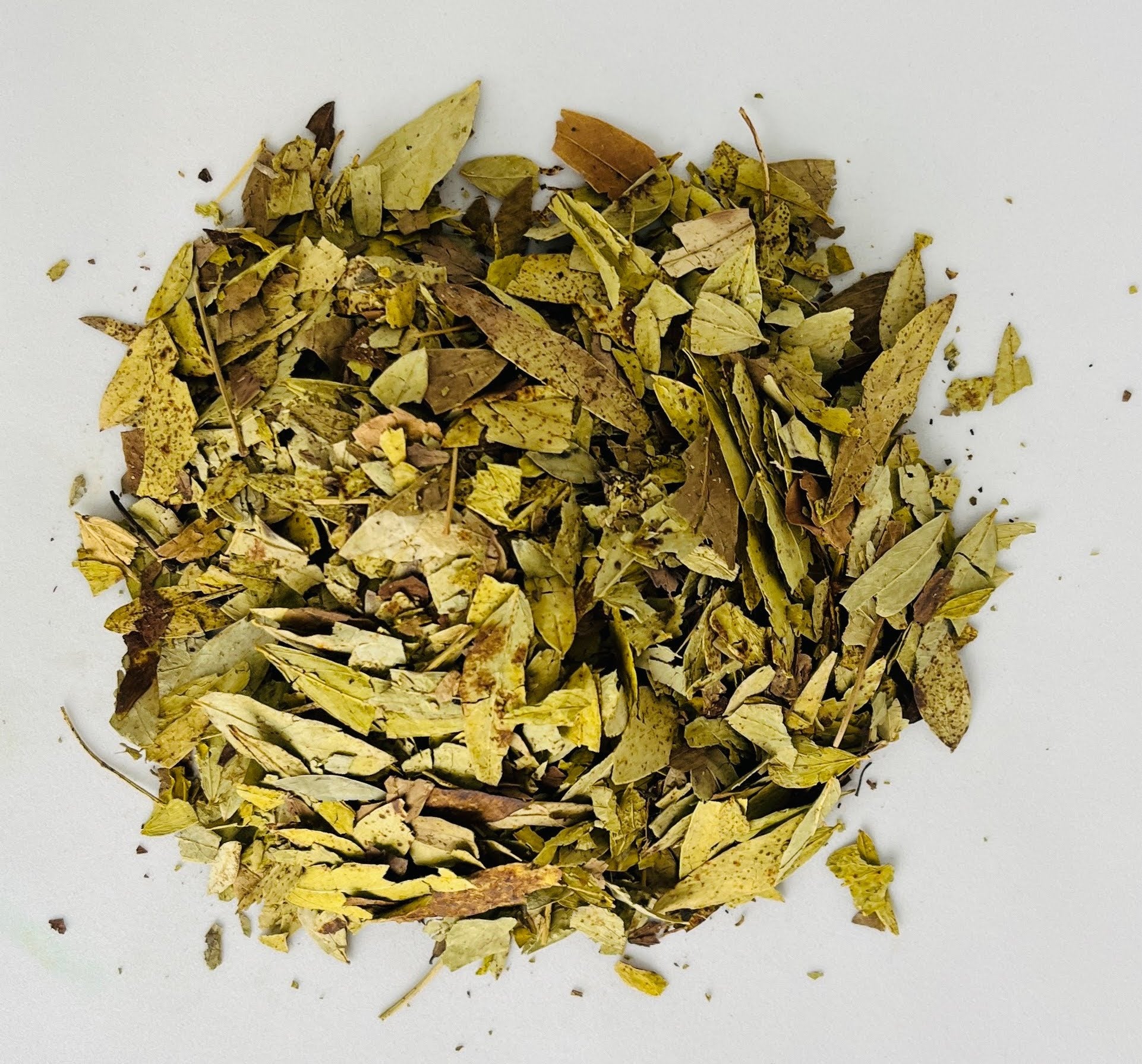 Gros plan herboriste sur la forme parfaite et la couleur verte authentique des feuilles de Séné entières séchées par Orianza.