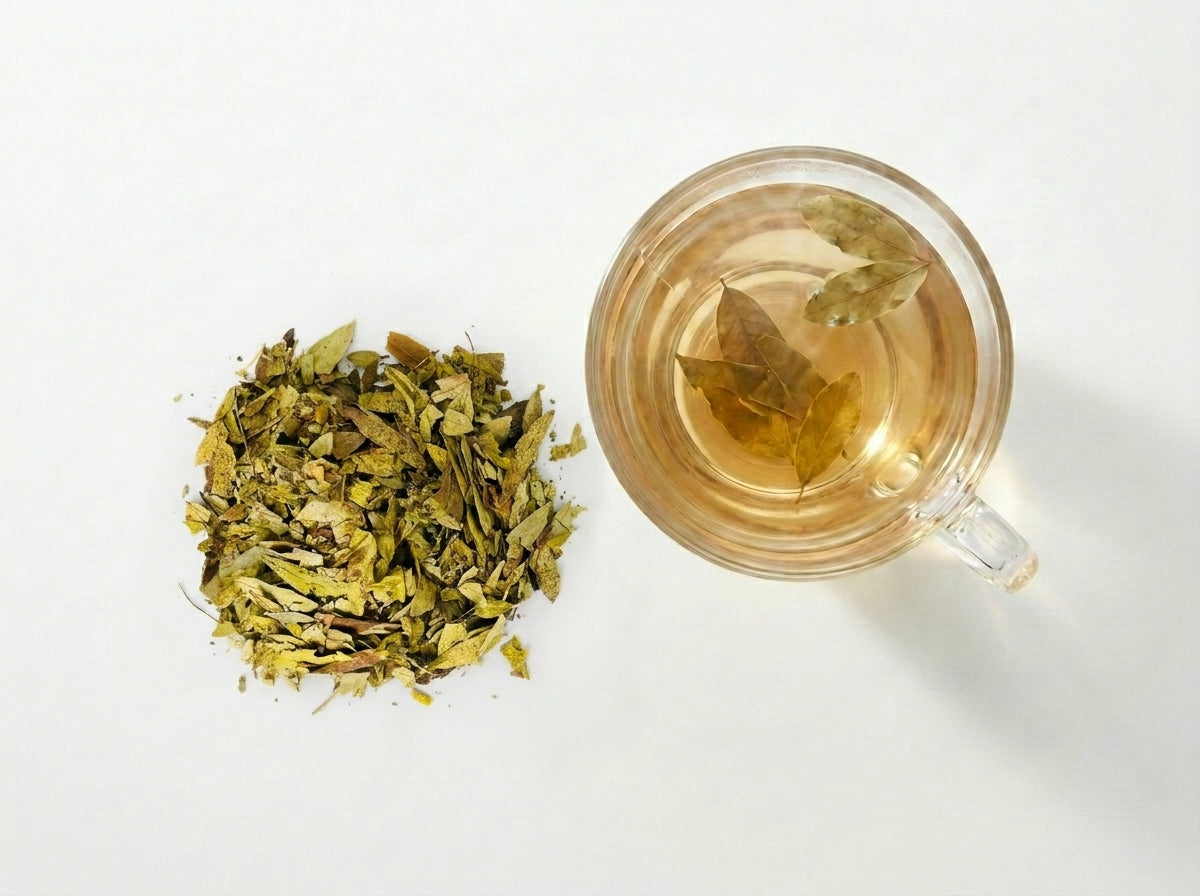 Préparation d'une infusion curative de Séné Sana Makki d'Orianza présentée à côté d'un sachet de la plante et d'un tasse à thé fumante.