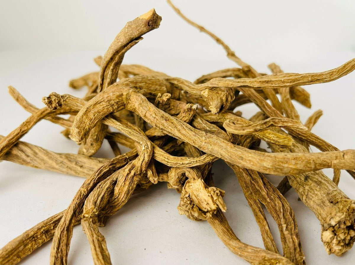 Gros plan macro détaillé sur les fibres ligneuses et l'aspect sauvage des racines de Serghina pure triées par Orianza.