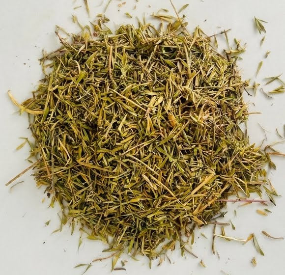 Gros plan herboriste sur les petites feuilles et fleurs séchées de Serpolet Sauvage d'Orianza, pureté et qualité supérieure.