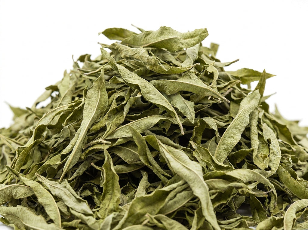 Gros plan sur les feuilles de verveine odorante entières et naturelles Orianza