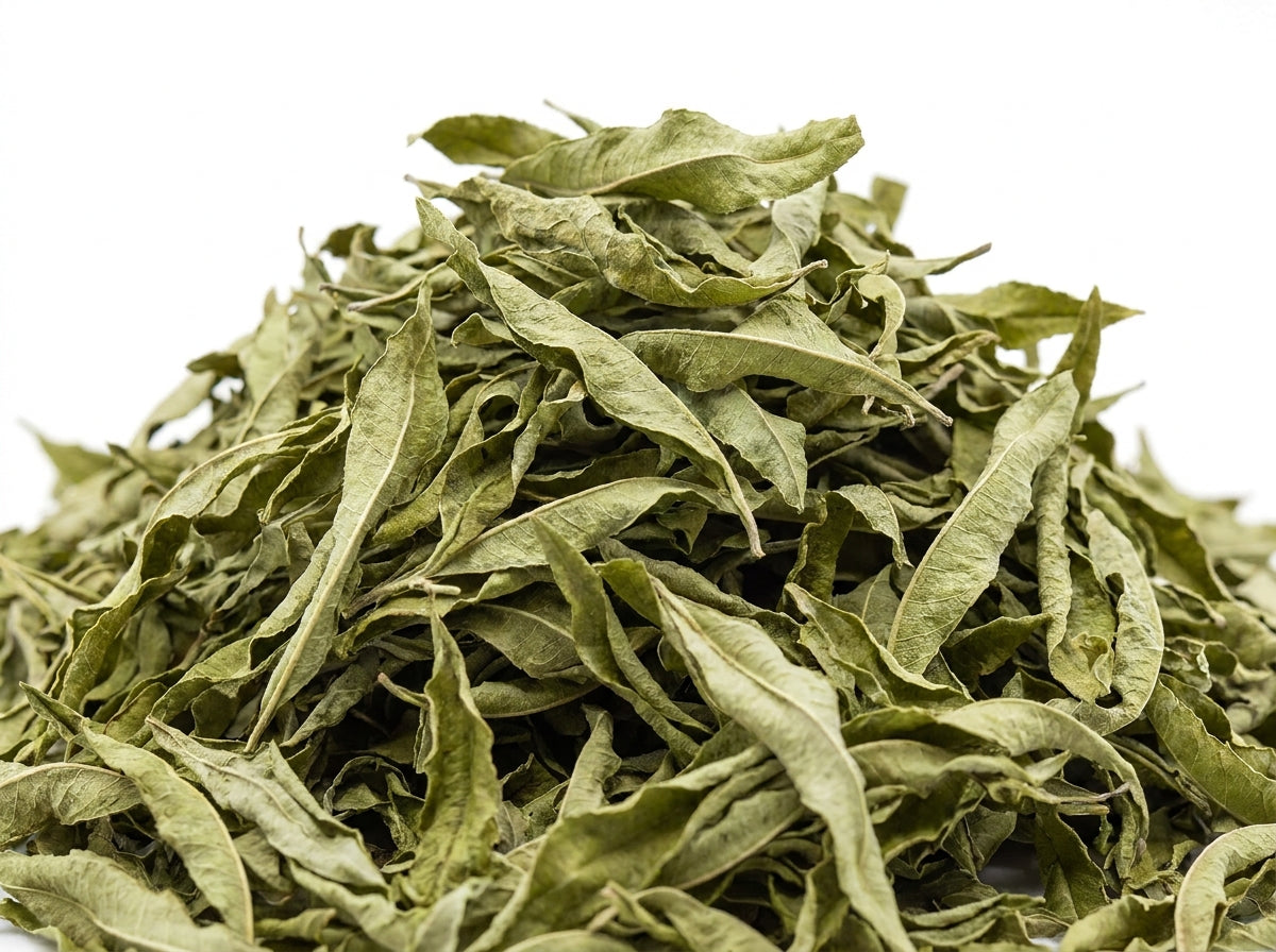 Gros plan sur les feuilles de verveine odorante entières et naturelles Orianza