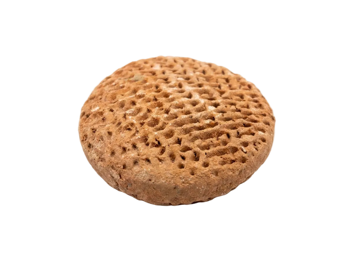 Détail de la texture alvéolaire et poreuse de la pierre ponce grise naturelle pour rituel de hammam.